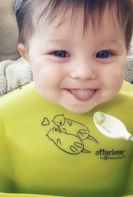 What Baby Food Is Safe? (Tips for Making Your Own Baby Food)