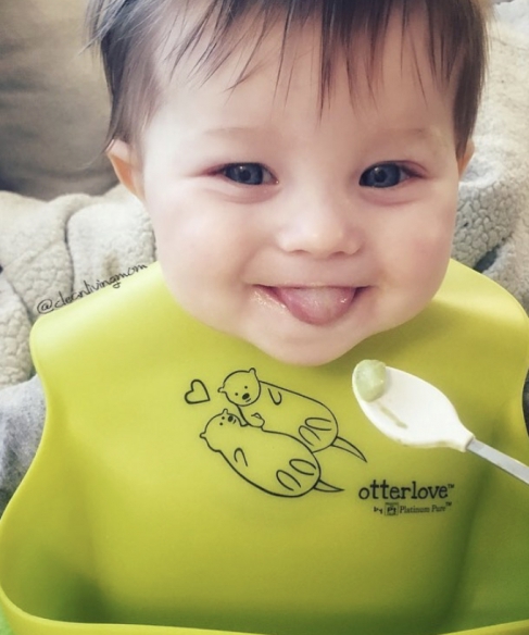What Baby Food Is Safe? (Tips for Making Your Own Baby Food)