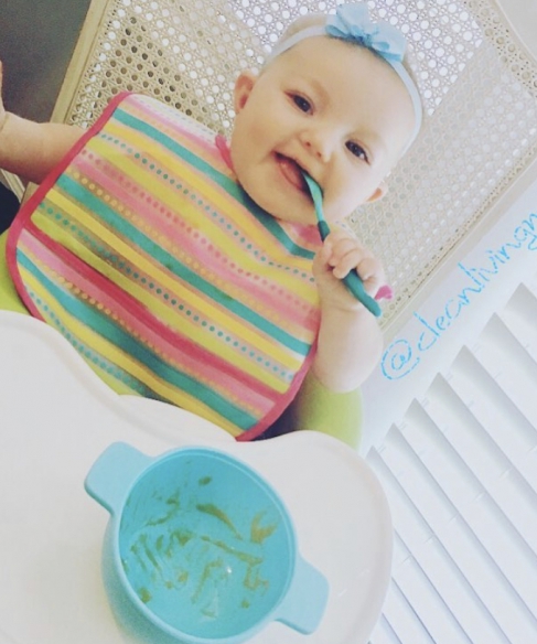 What Baby Food Is Safe? (Tips for Making Your Own Baby Food)