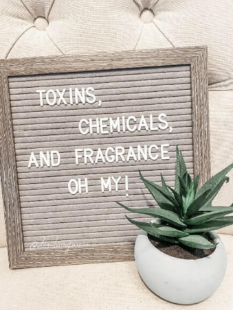 What Is Non Toxic Living? Where Do I Start?